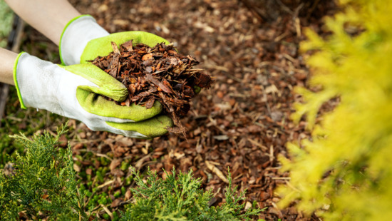 ¿Por qué es crucial entender el concepto de mulching y su aplicación en la jardinería?