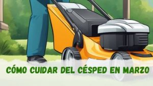 Cómo cuidar el césped en marzo