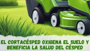 Relación entre cortacésped y oxigenación del suelo