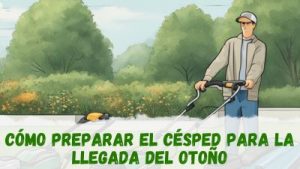 Prepara el césped para la llegada del otoño