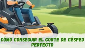 Cómo conseguir el corte de césped perfecto