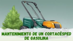 Cortacésped de gasolina: mantenimiento