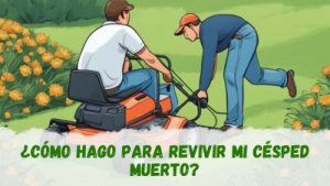 Cómo revivir el césped muerto