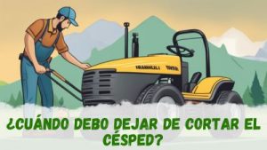 Cuándo dejar de cortar el césped