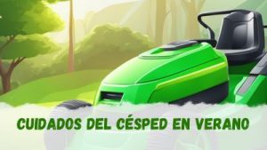 Cómo cuidar el césped en verano