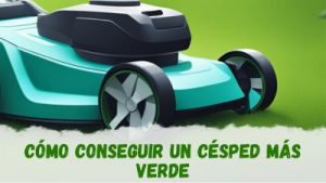 Cómo conseguir un césped más verde