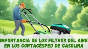 Filtros de aire en los cortacésped de gasolina