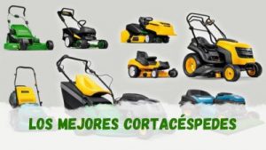 Los mejores cortacéspedes del año