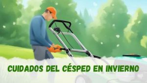 Cuidados del césped en invierno