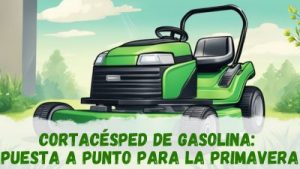 Cortacésped de gasolina: puesta a punto para la primavera