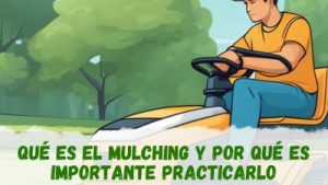 Qué es el mulching