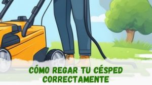 Regar el césped correctamente