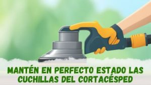 Cuchillas del cortacésped: mantenimiento