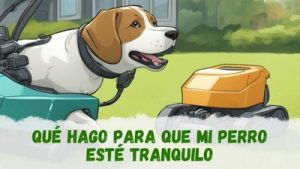 cómo hacer que un perro se lleve bien con el robot cortacésped