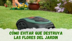 evitar que mi robot cortacésped destruya las flores del jardin