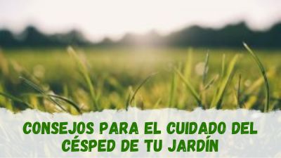 Consejos para el cuidado del césped de tu jardín