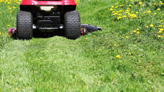 ¿Cuál es la definición de mulching y por qué es crucial aplicarlo?