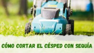 Cortar el césped con sequía y mantener su salud