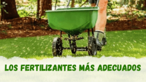 Los fertilizantes más adecuados