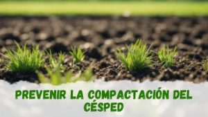 Prevenir la compactación del césped