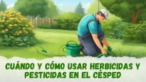 Cuándo y cómo aplicar herbicidas y pesticidas en el césped