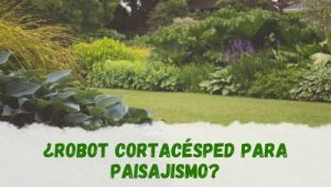 Uso del robot cortacésped en jardines con paisajístico