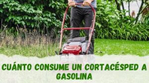 Cuál es el consumo de los cortacésped de gasolina