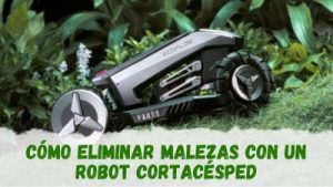 Eliminar malas hierbas con un robot cortacésped